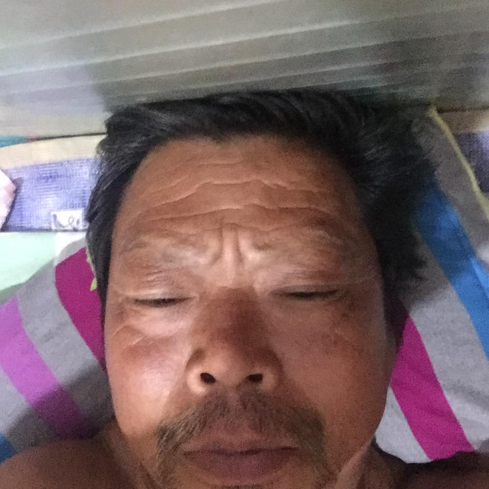 虎