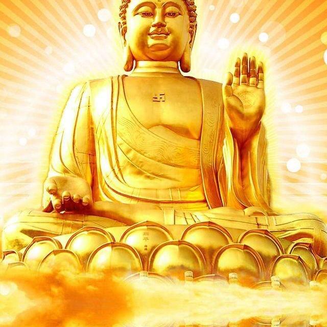 淡然，半生记忆