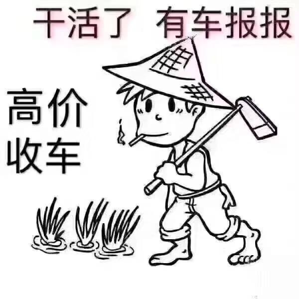 台州宾驰二手车