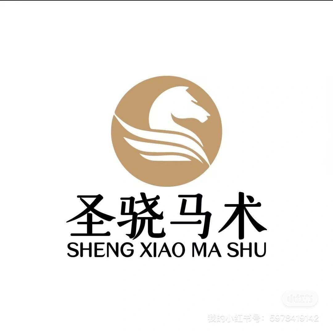 圣骁马术守涛