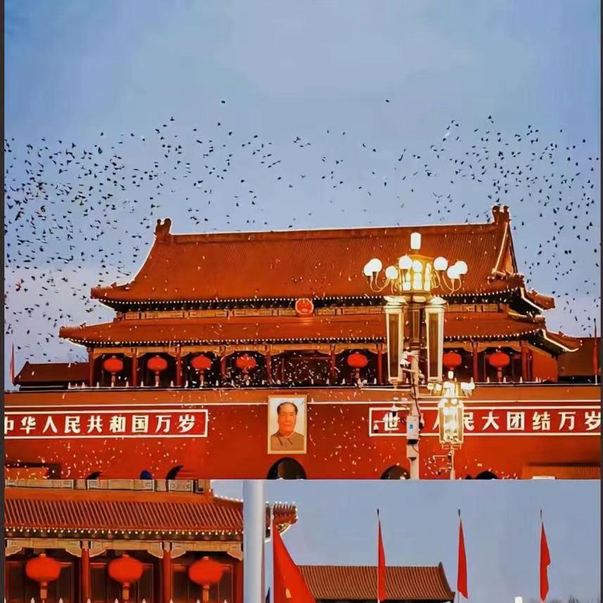 劉德华（三合寄卖）
