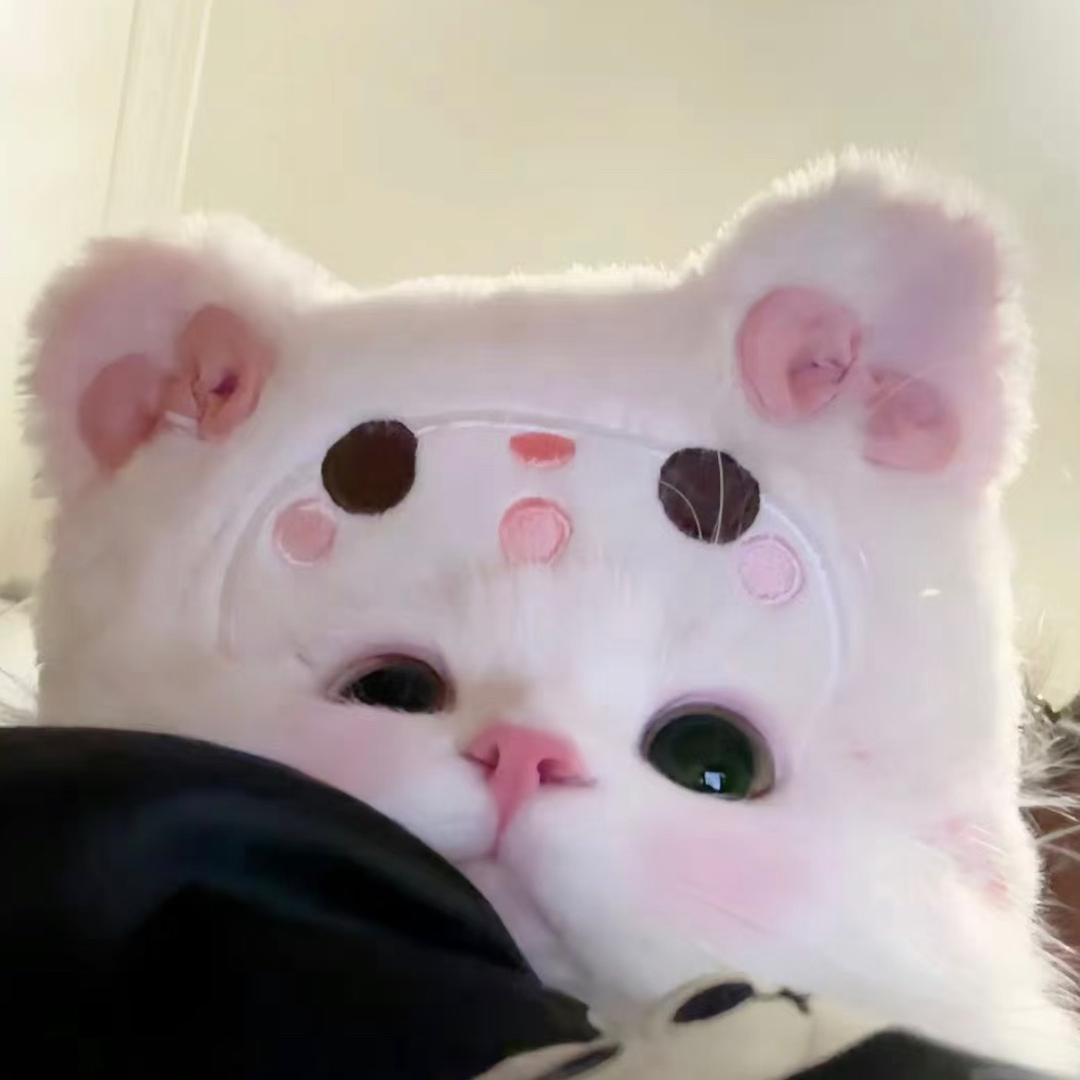 晚睡小猫ya