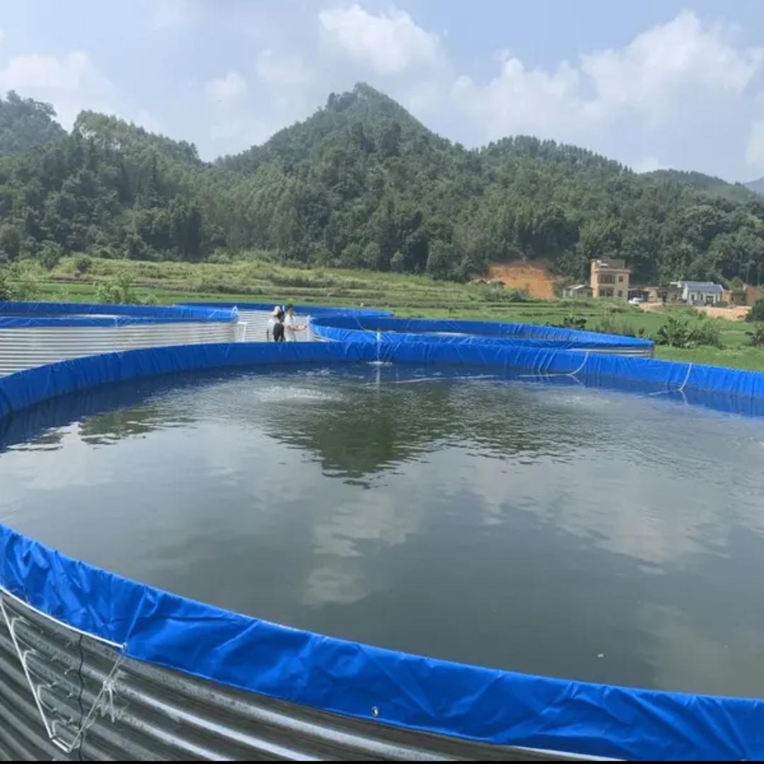 好多鱼余