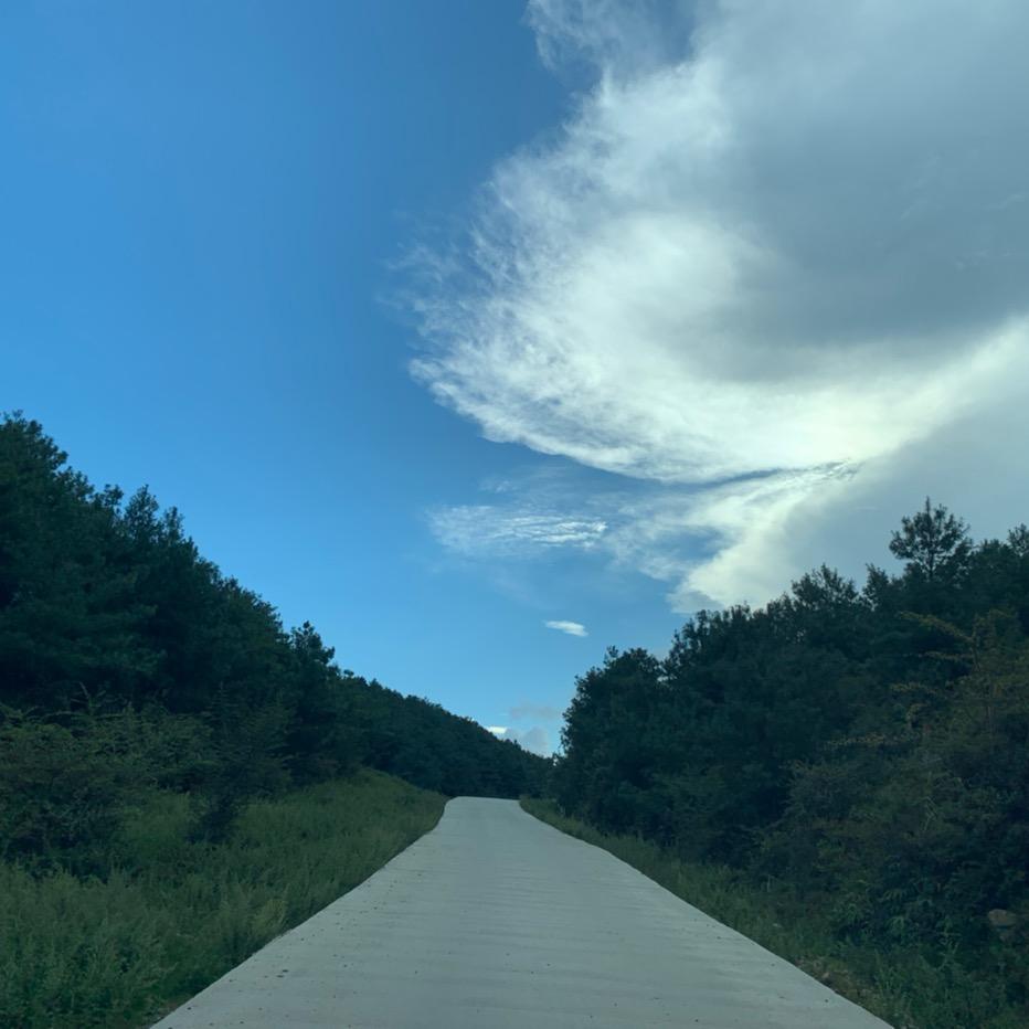 小谢会修车🚗🛻🚘🚔🚌🚜