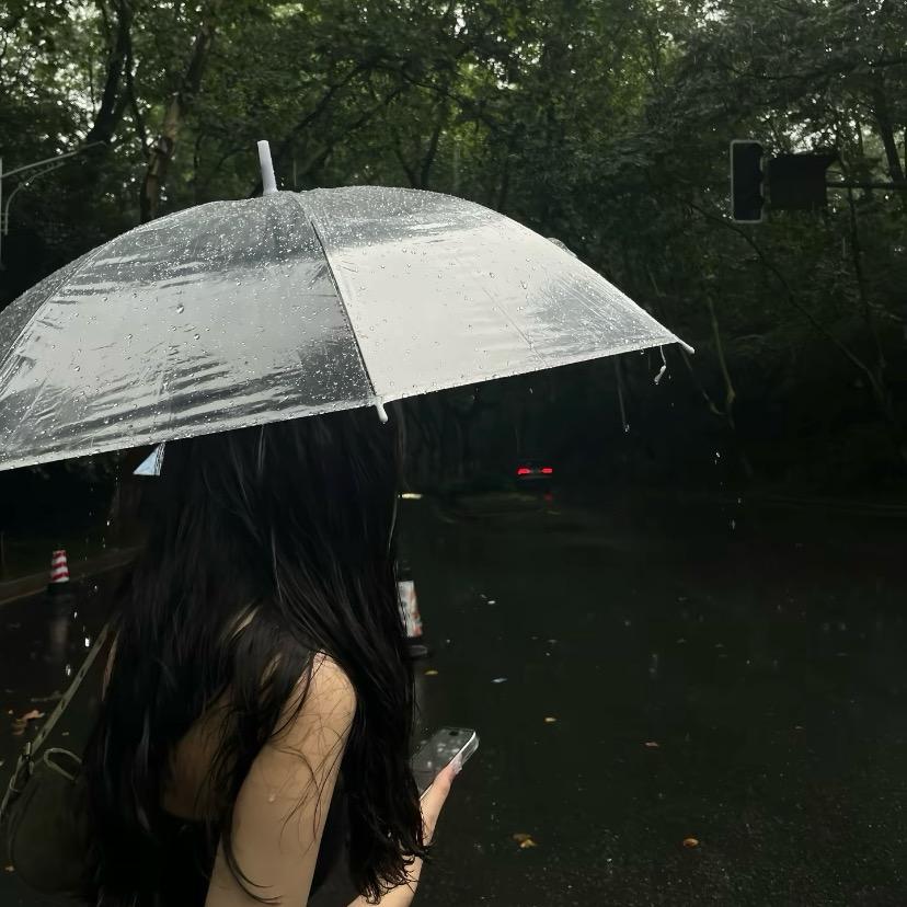 .白茶清欢
