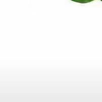 死过老婆会疼人