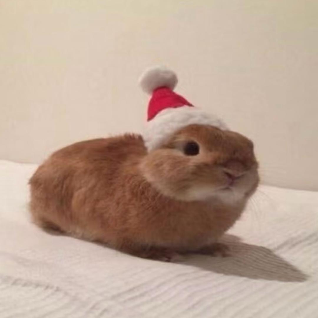 :