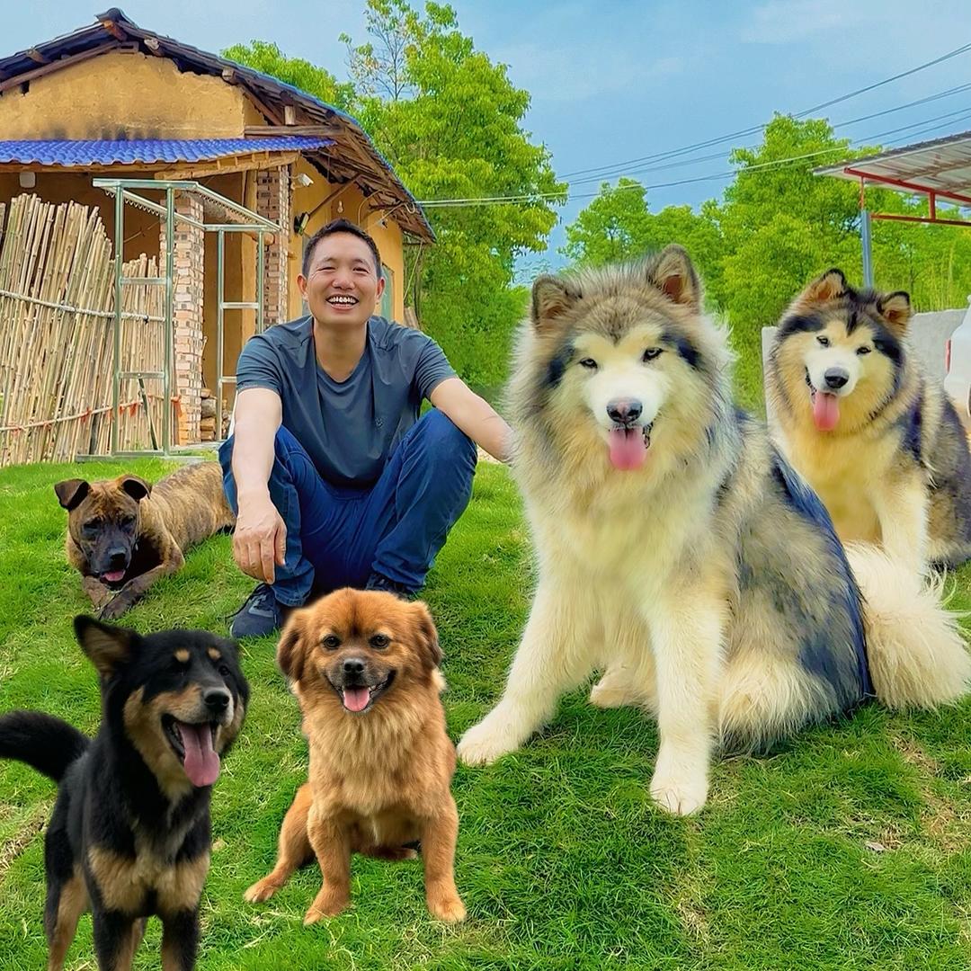 老罗与泡芙