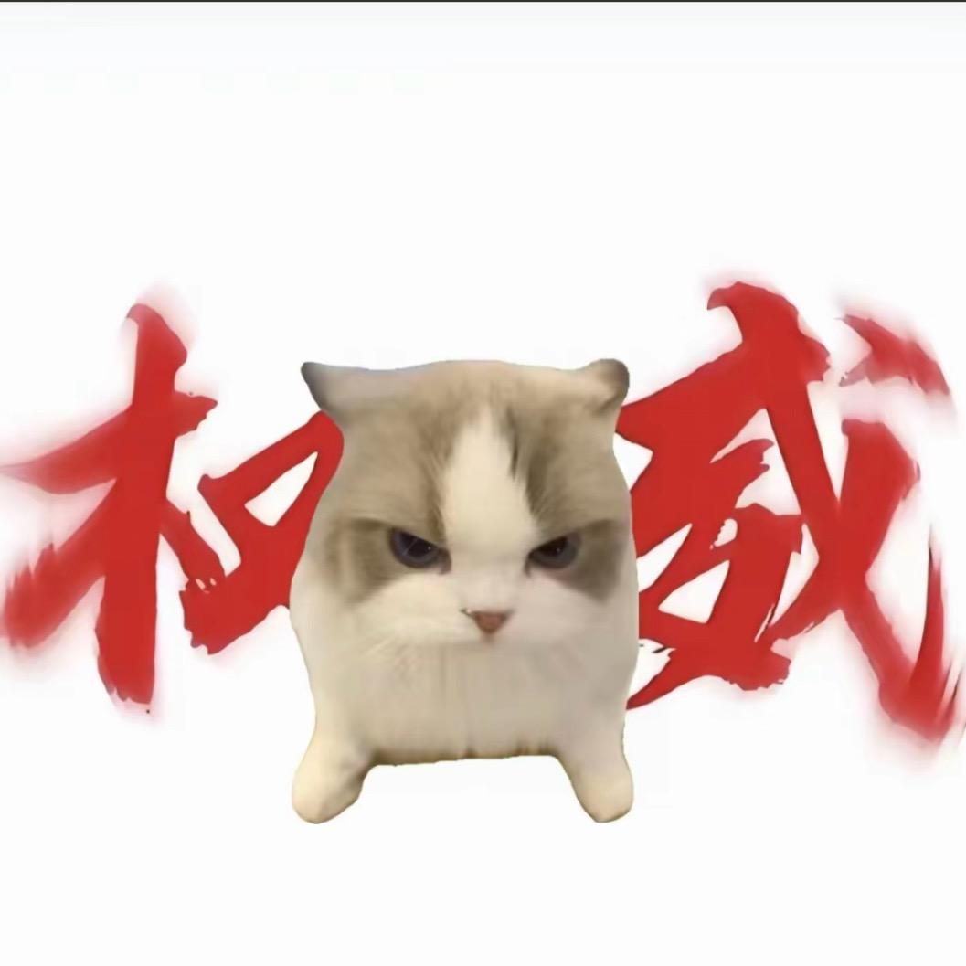 涂涂爱生活