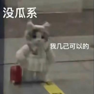 屿