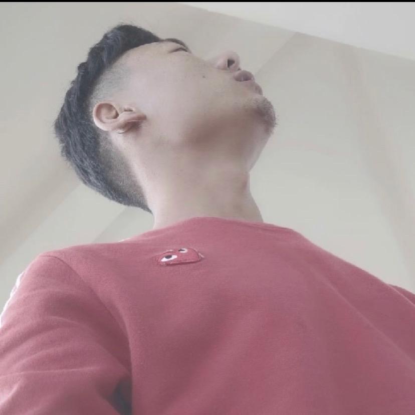 🌴小苏