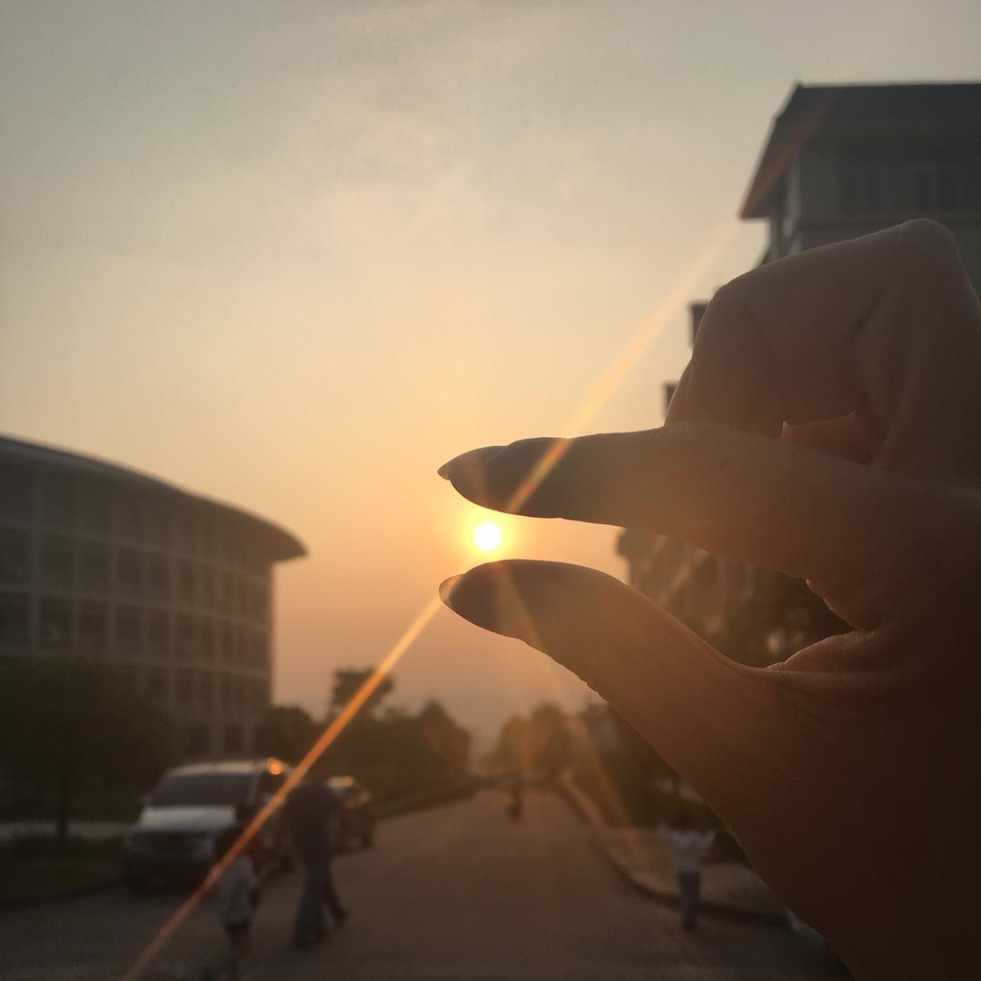 边牧短剧