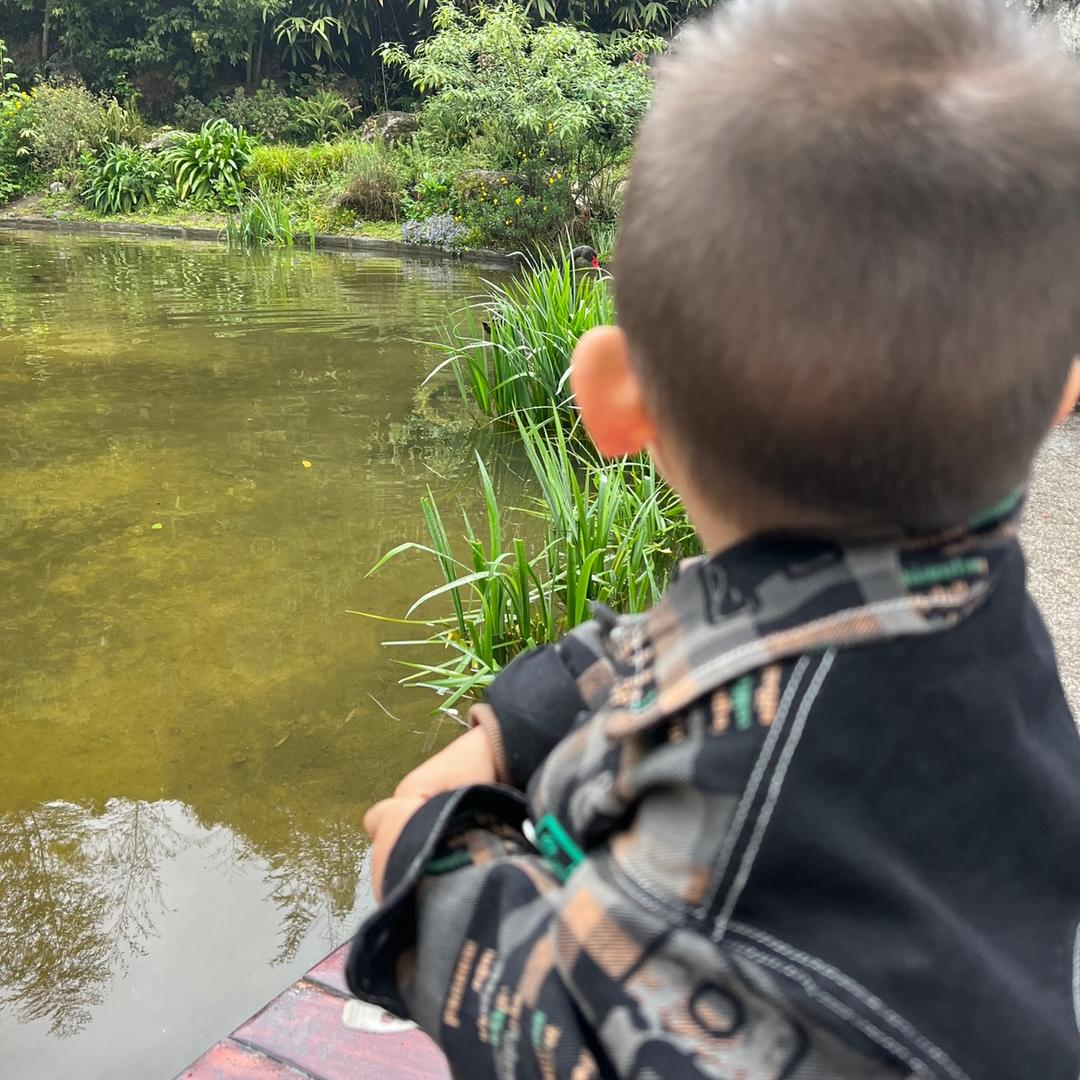 旺仔牛奶不加糖