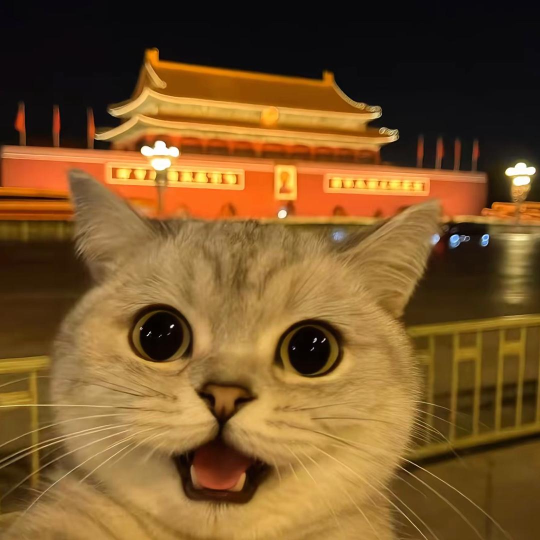 磊（沉淀中）
