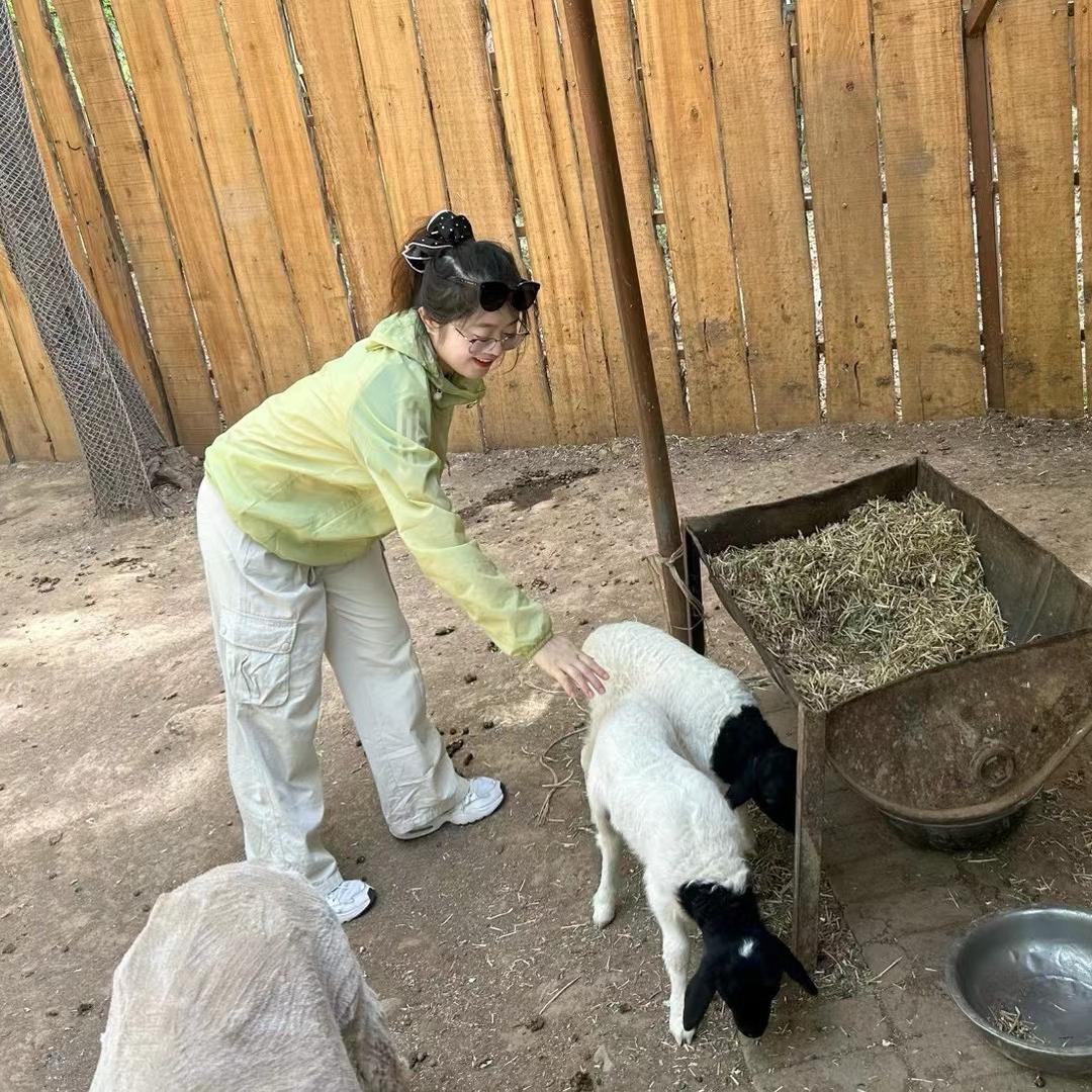 振兴小马【振兴小镇推介官】