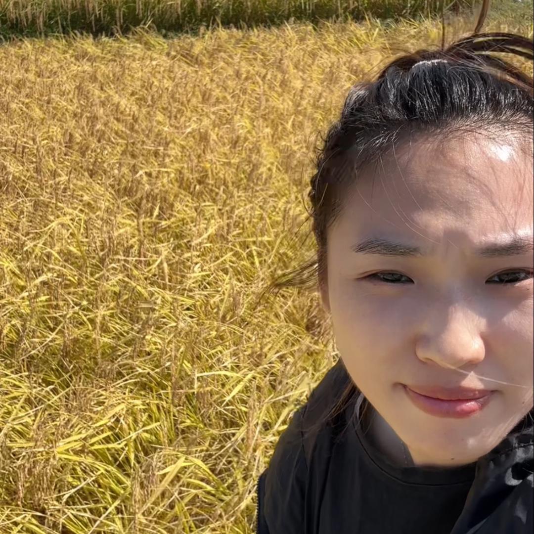 小苗家五常大米