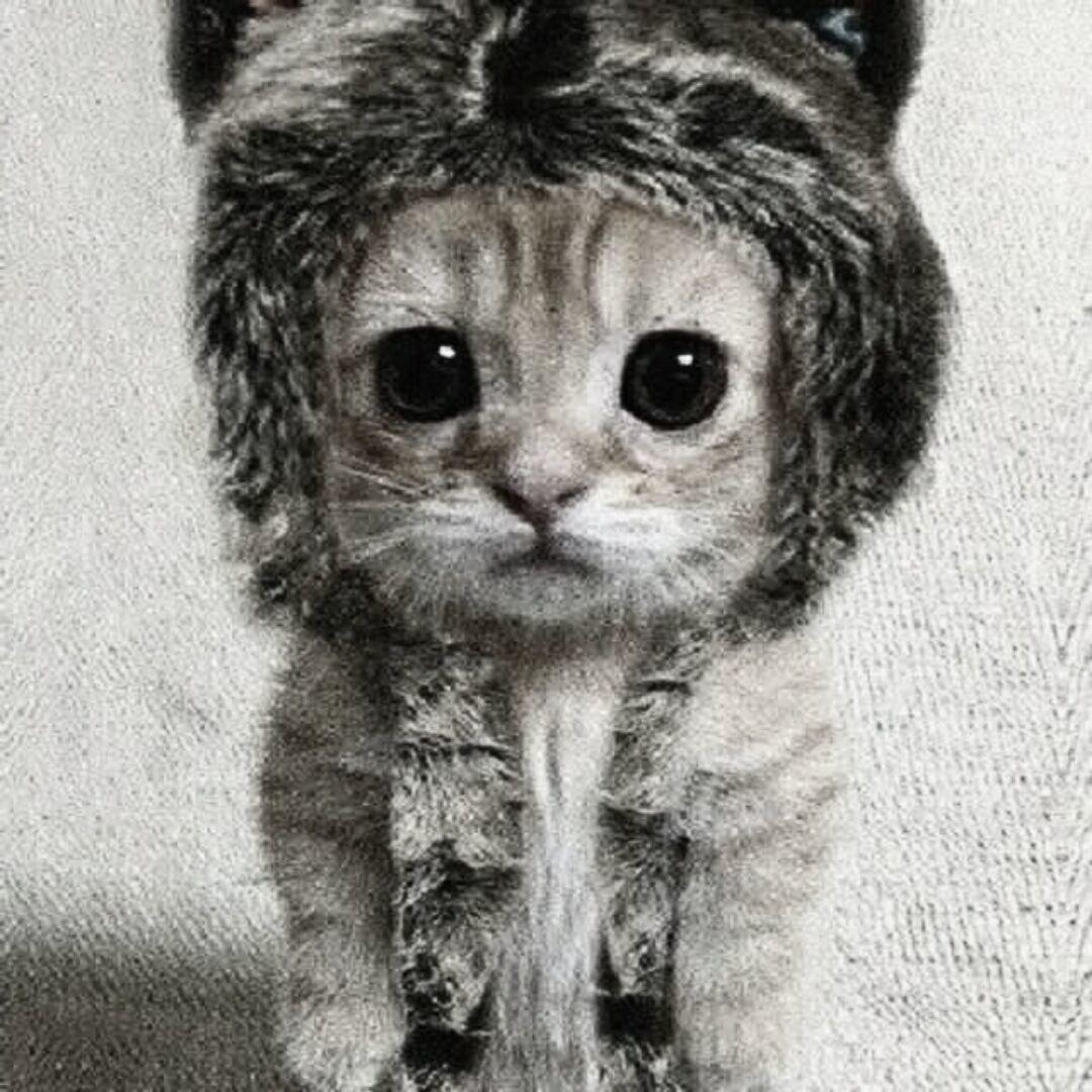 哈哈香瓜子