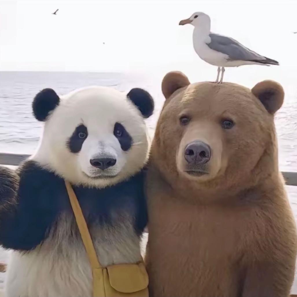 小小吴