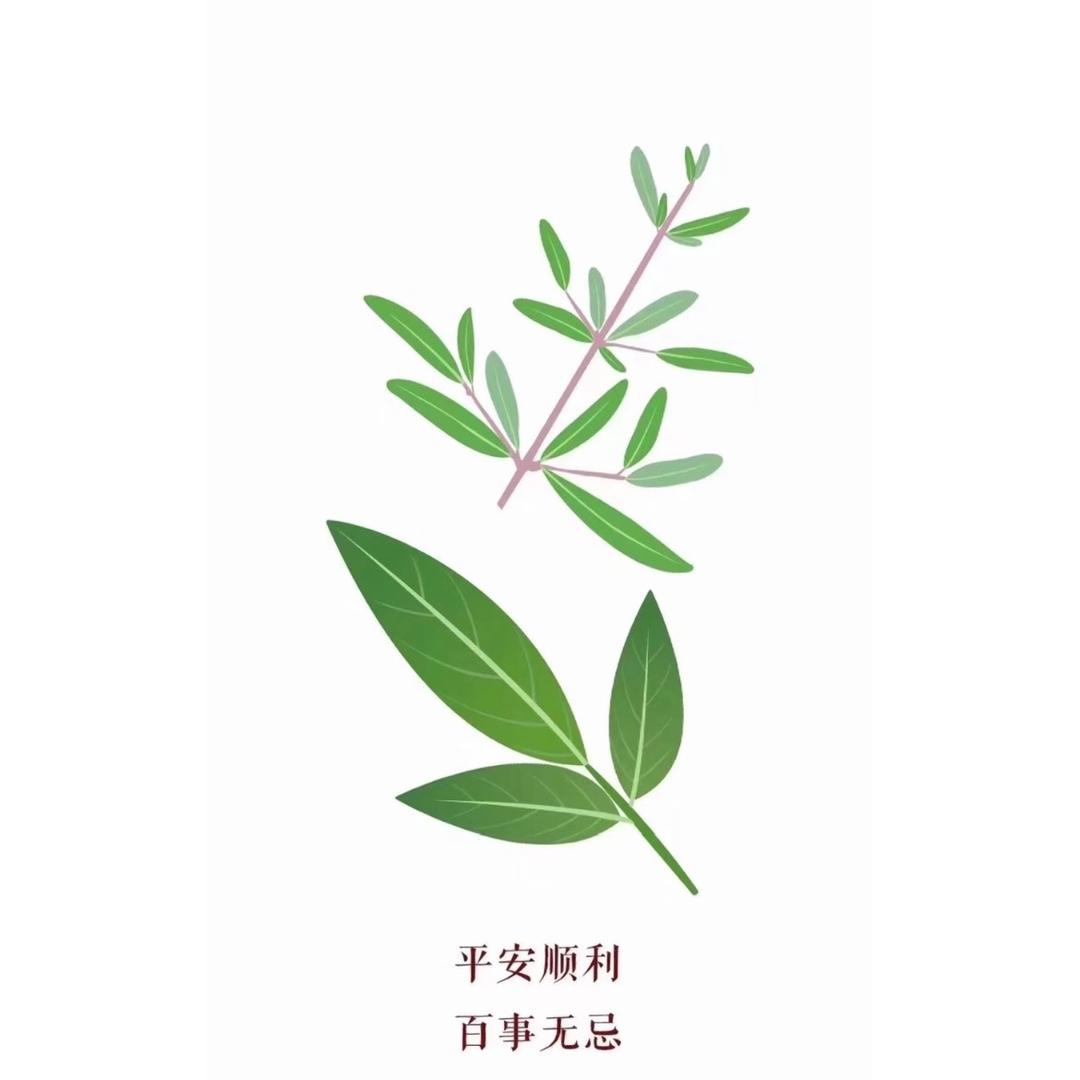 一顿³碗饭