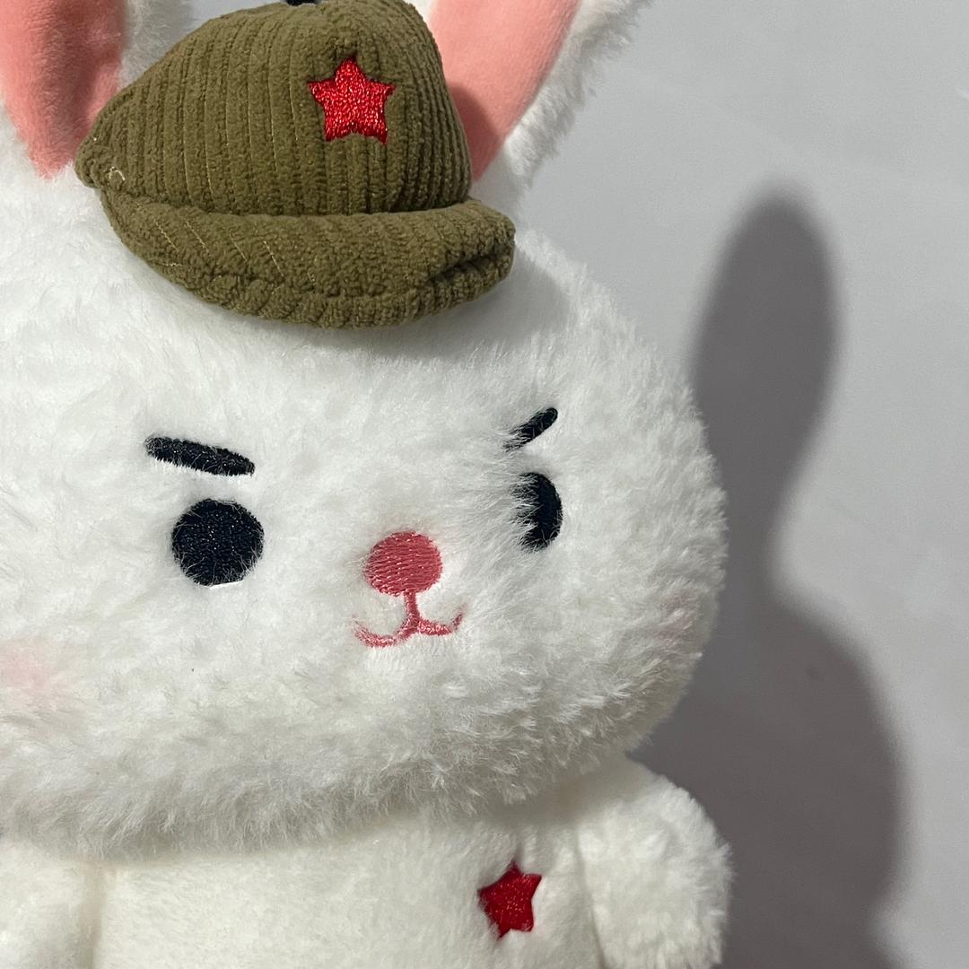 大懒猪