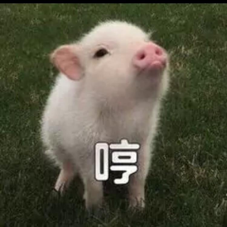 Tian说电影🎬