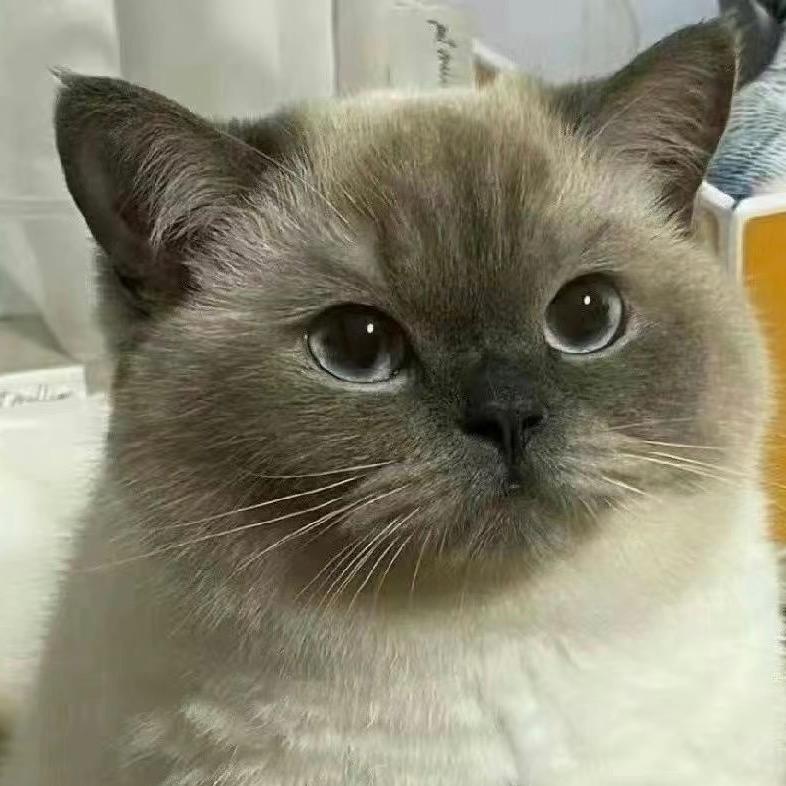 🌈锦鲤大王（五百万版）