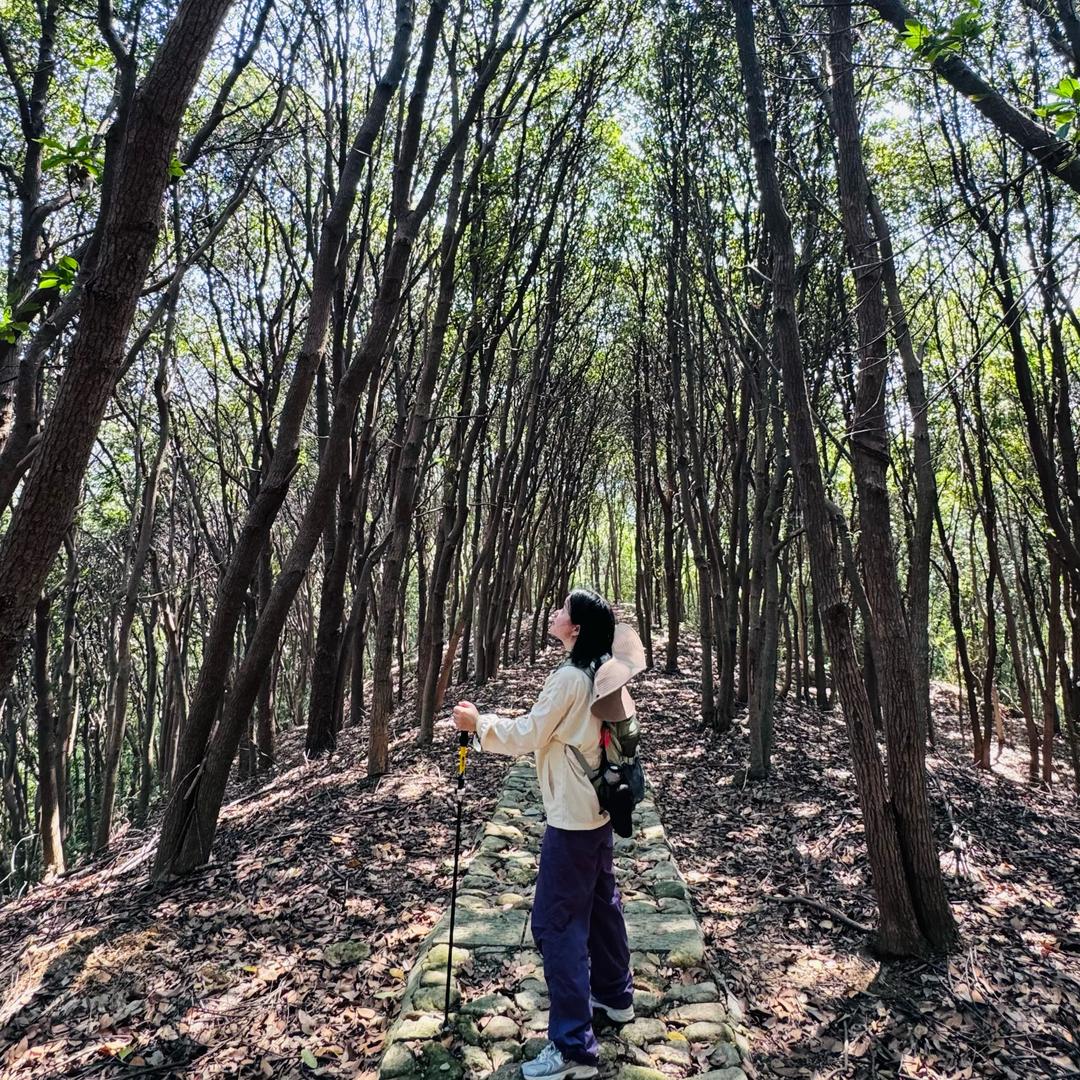 ✨小郑是水瓶座✨