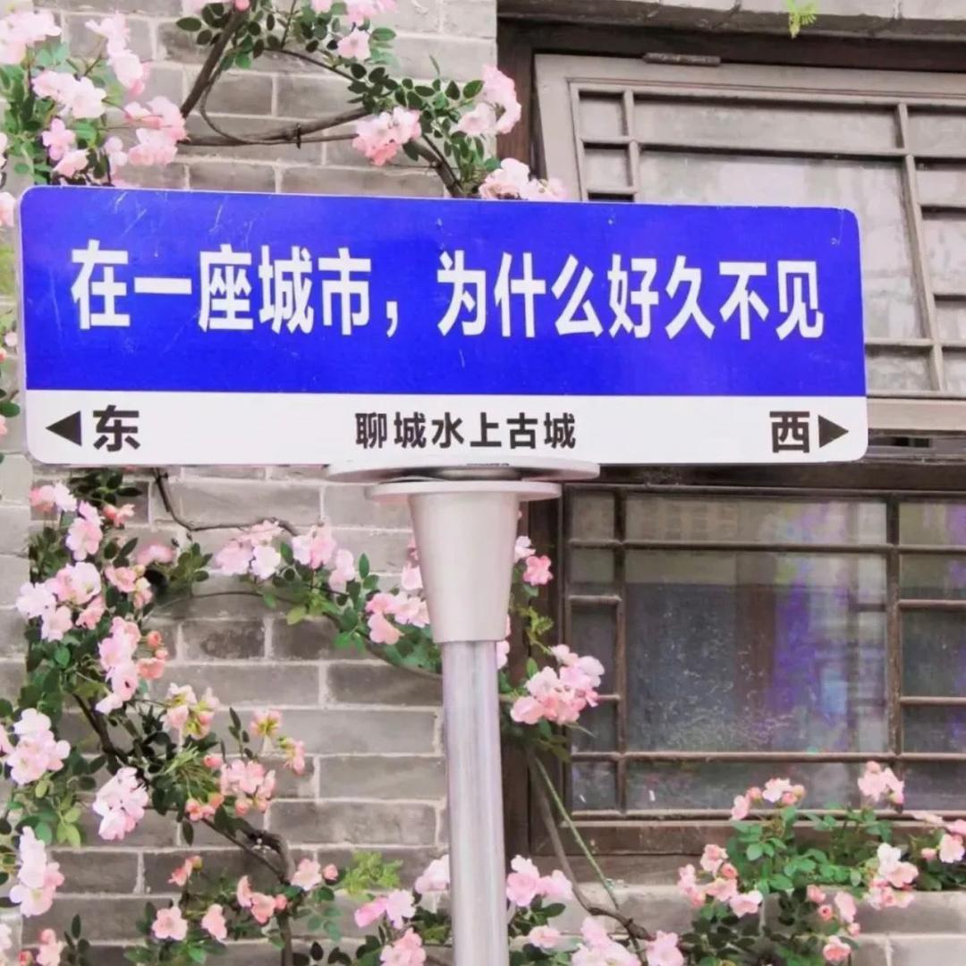 溜达的（黑猪）