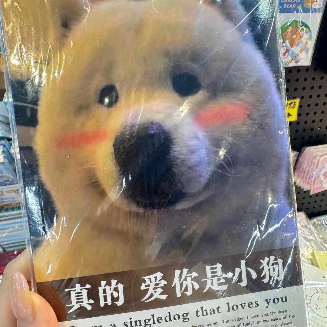 爱你的笨蛋