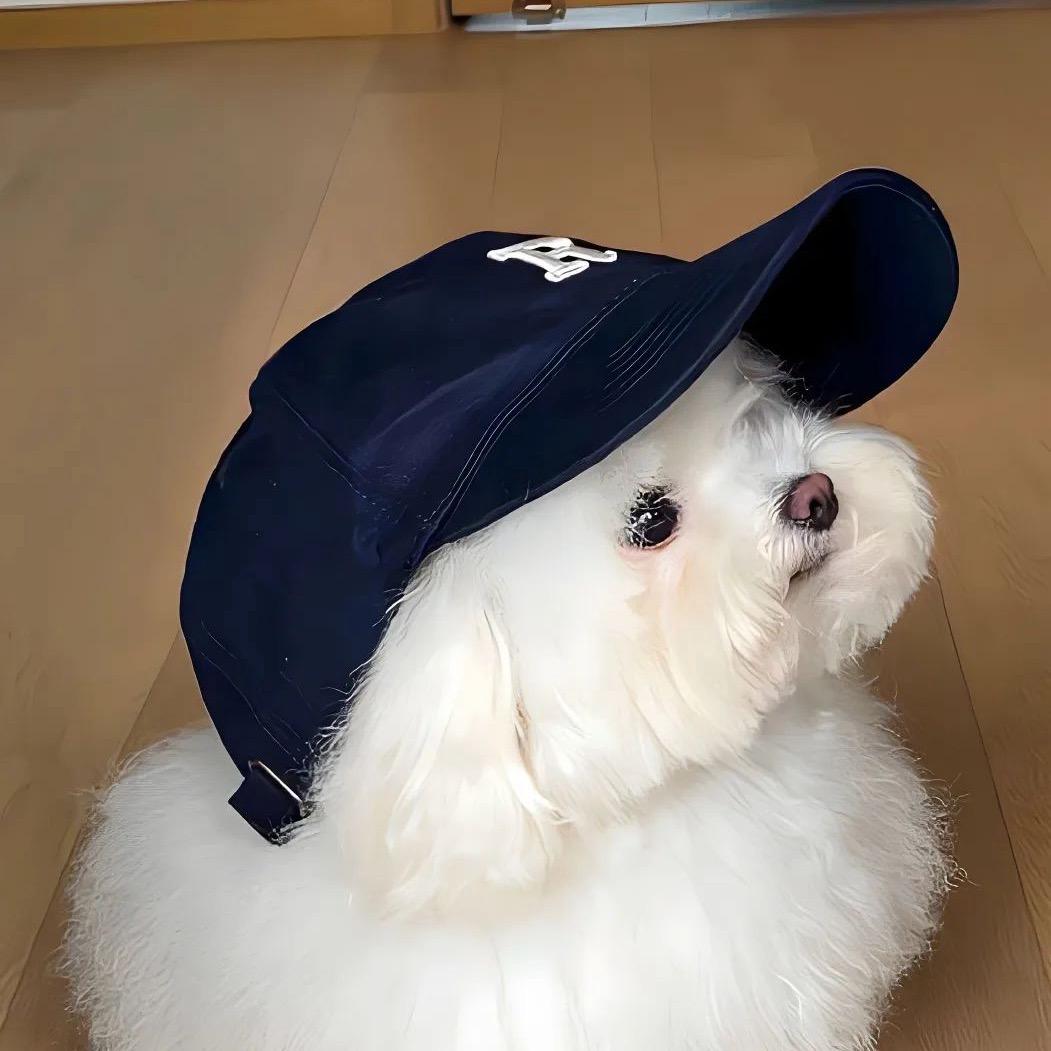 1️⃣🐟摆摊日记^-^