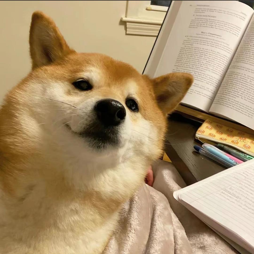 三状元田径HHH