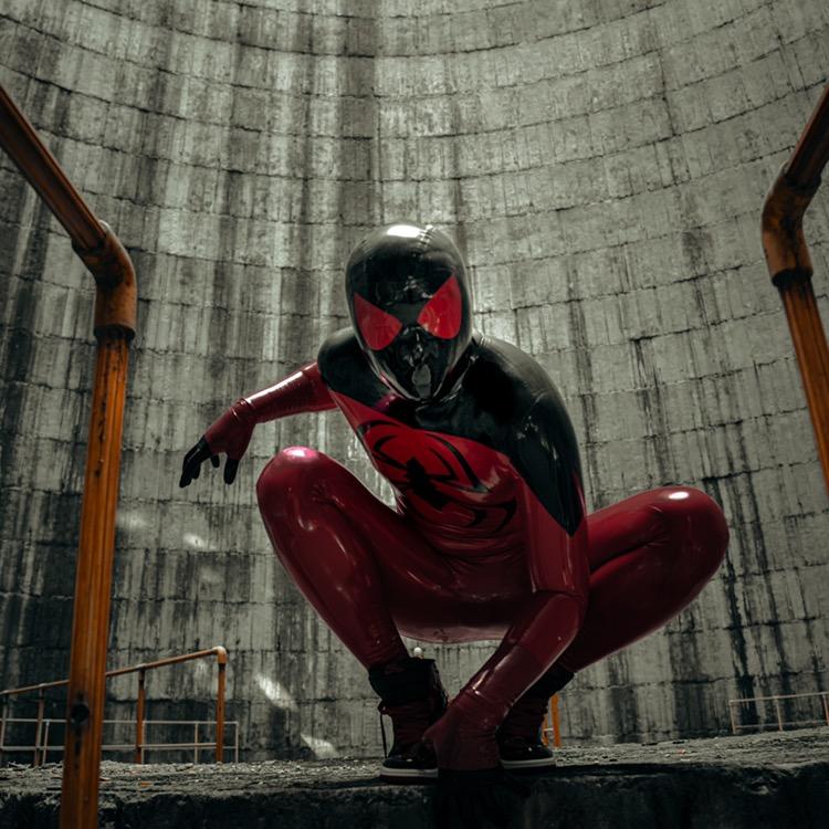 一只会功夫的猫