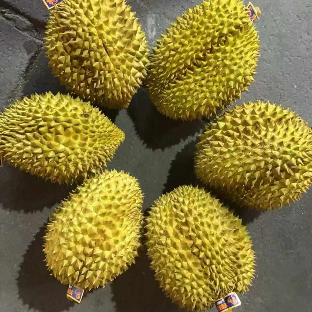 物竟天择