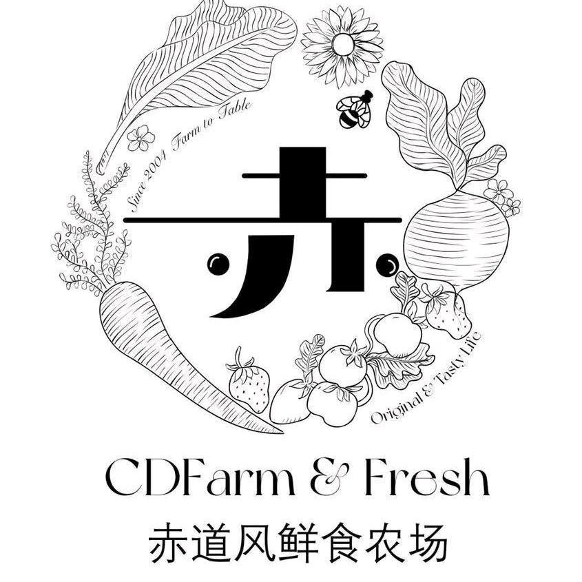 赤道风草莓采摘园