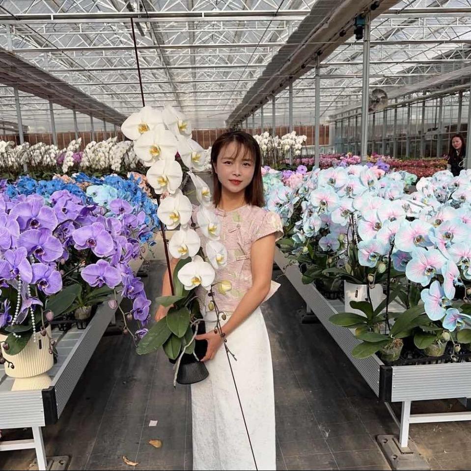 思芹花卉小号
