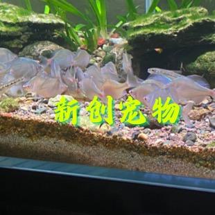 黑客总部