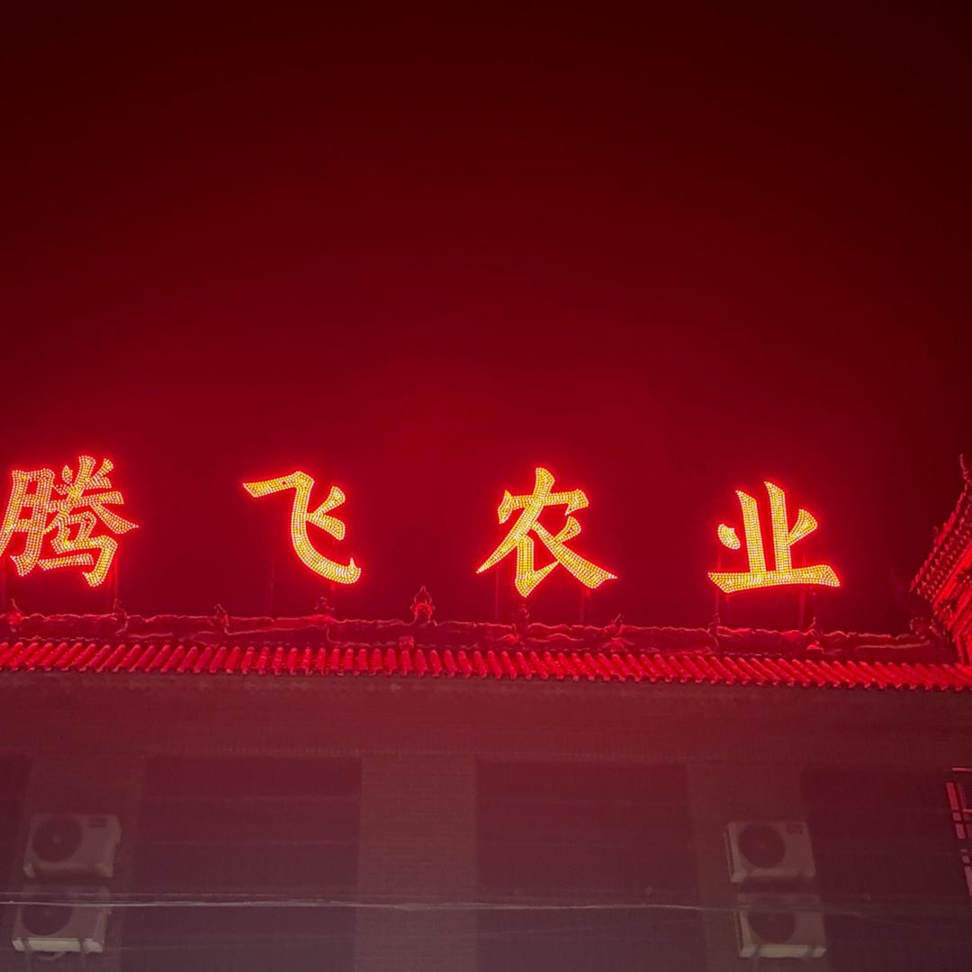 腾飞农业