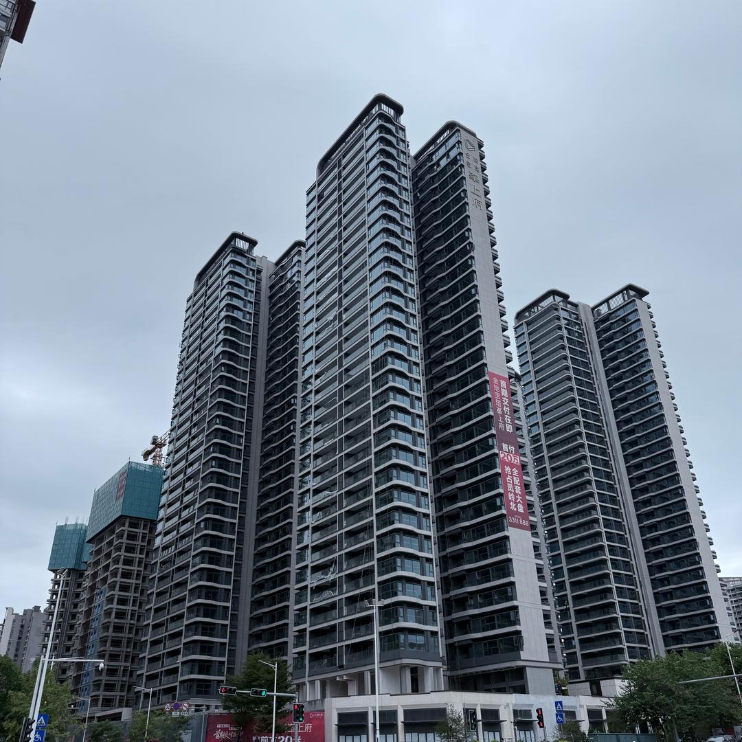 金地宝塔·峯上府 富贵花🌸