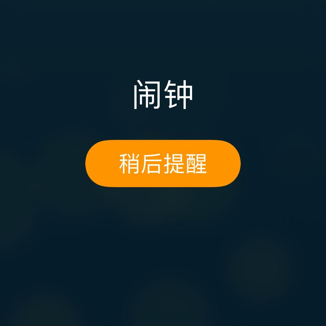 5楼的小美