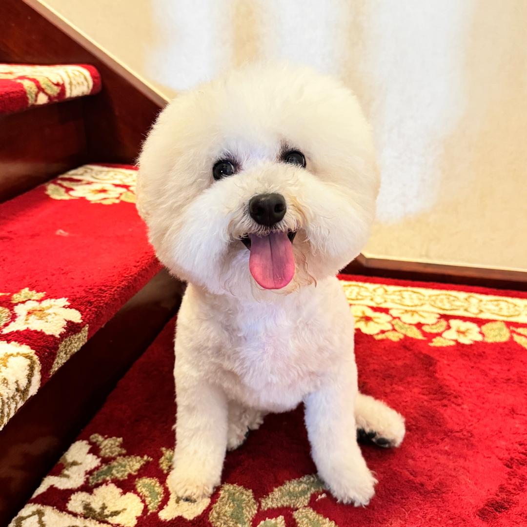木子^_^