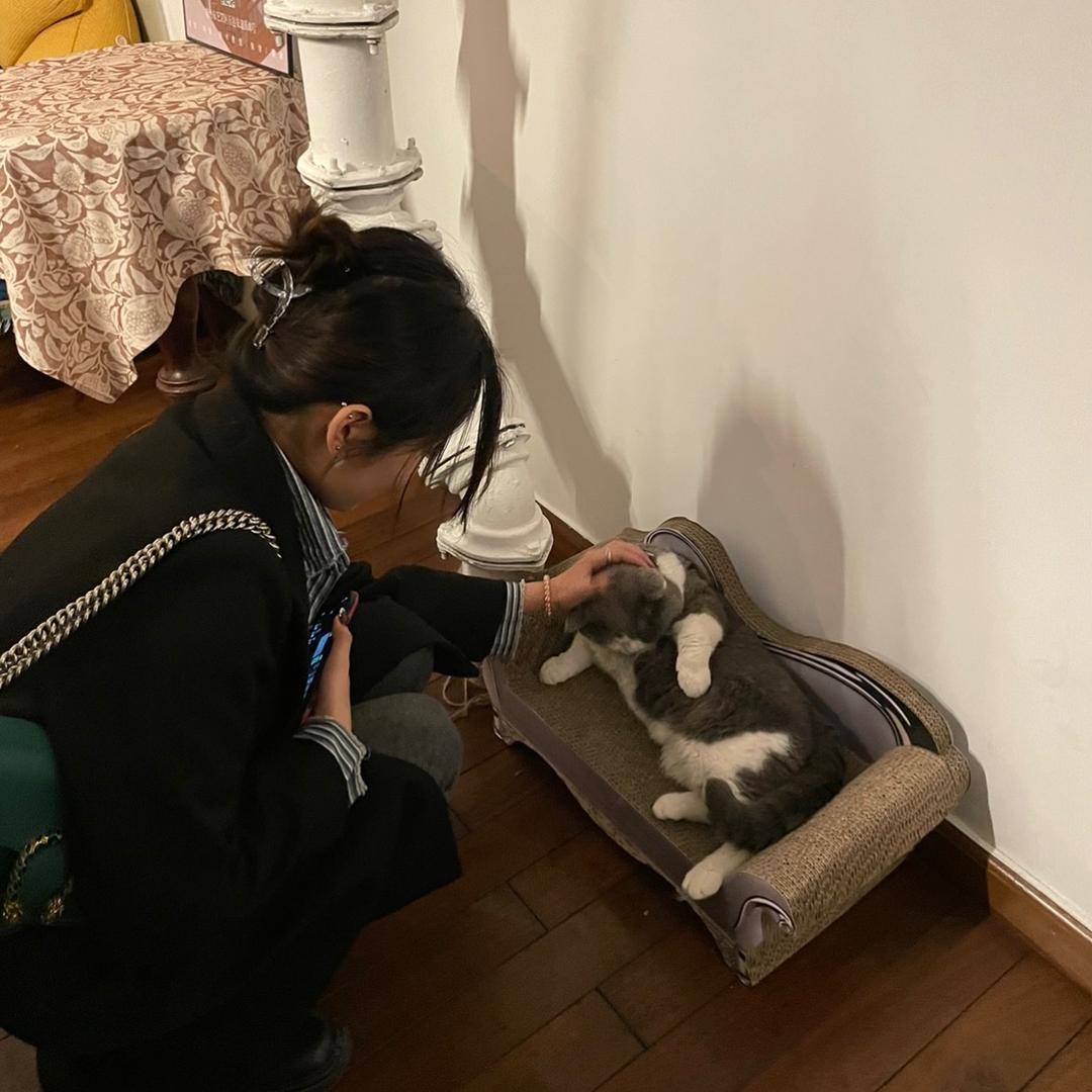 乔乔感情成长工作室
