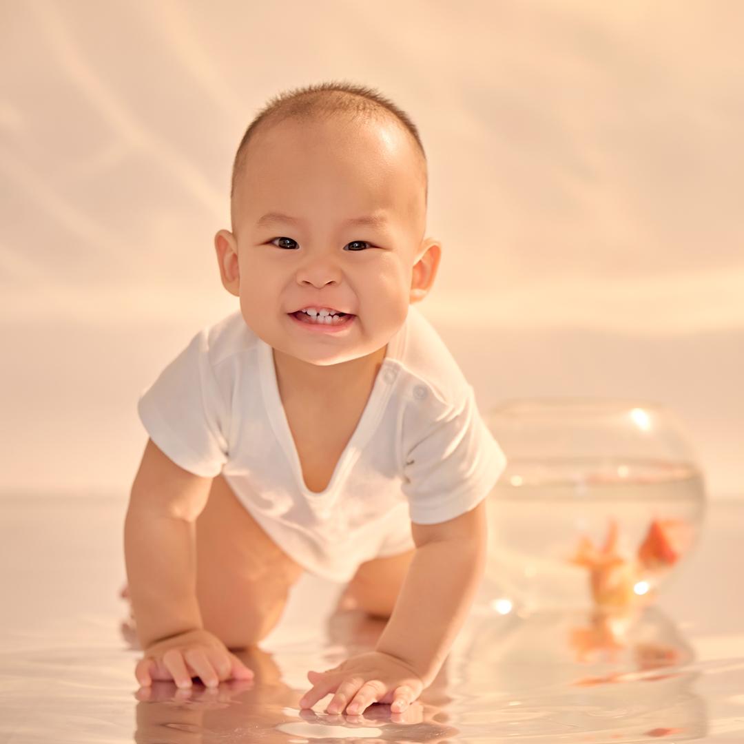 胖琛的幸福生活