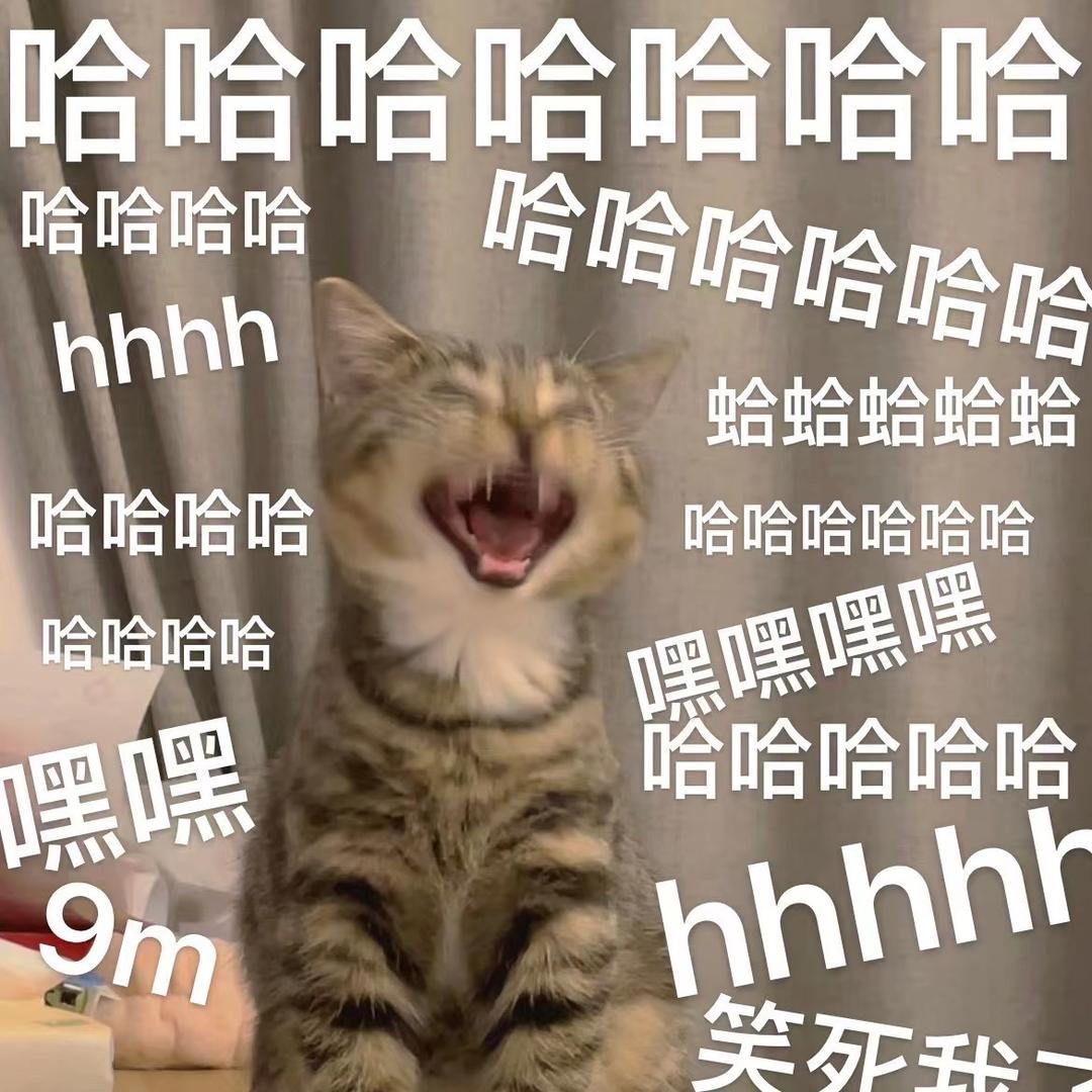 你好我叫西瓜太郎