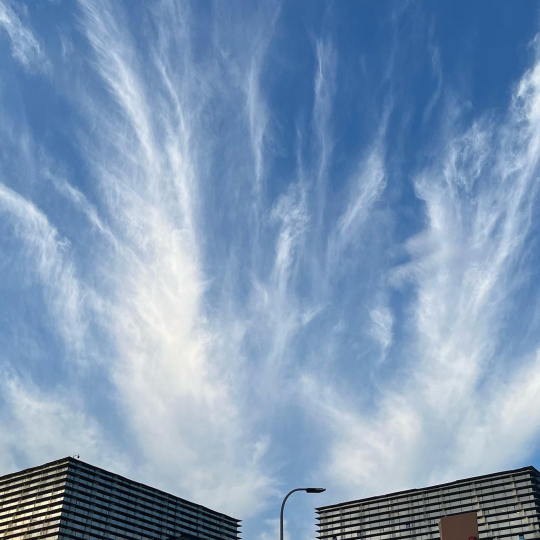 大河