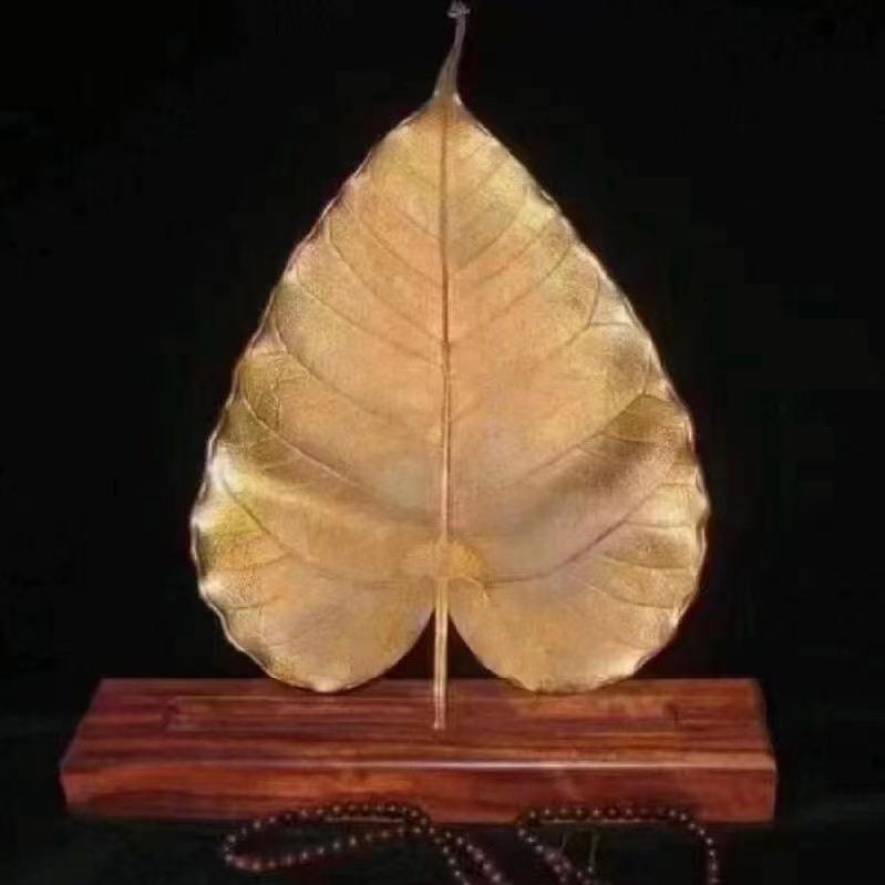 🌿赞丹路玛🍂