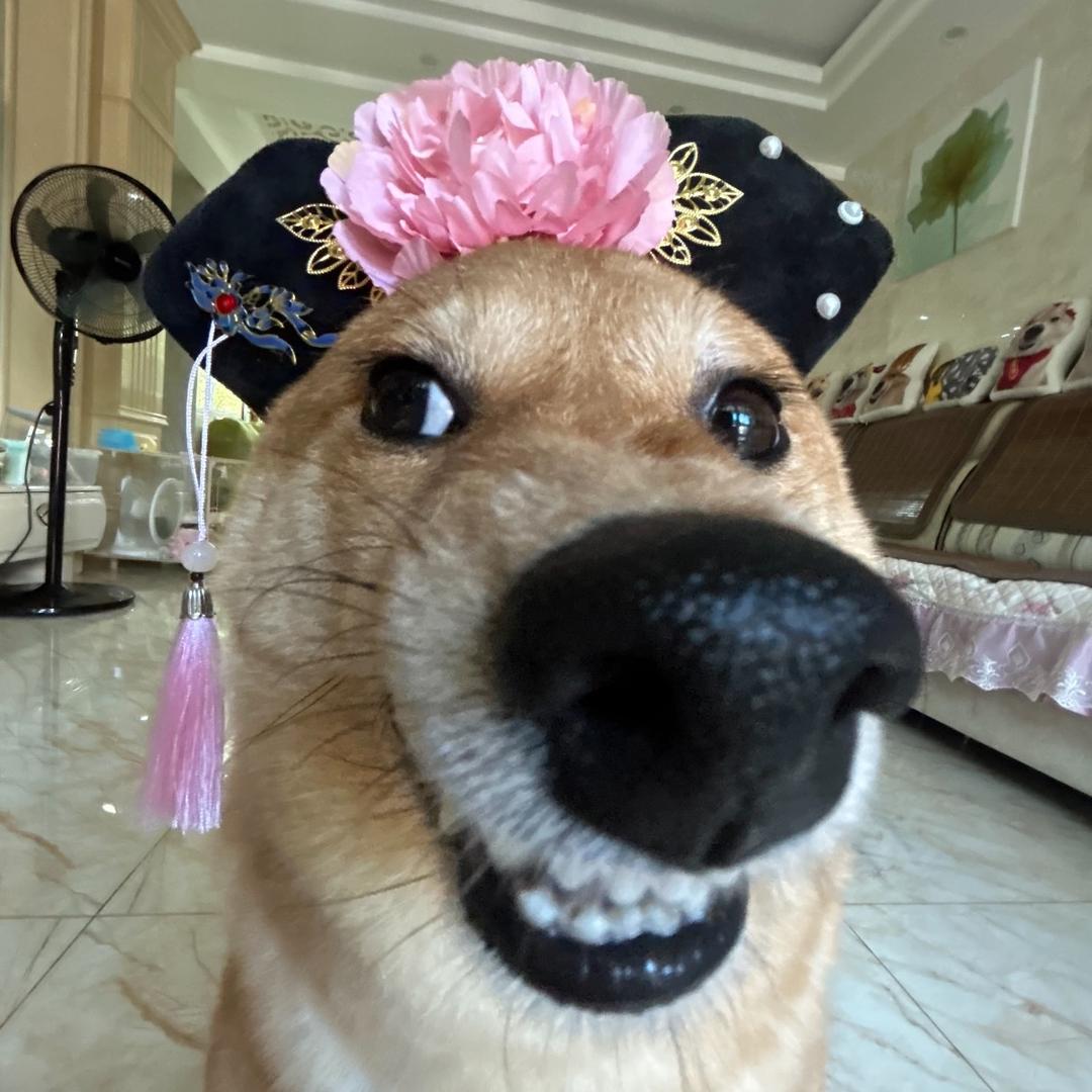 老公站街我数钱