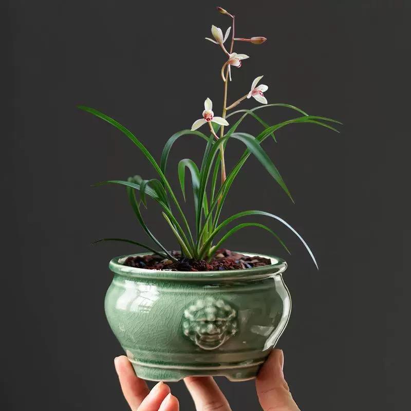 丽阳堂家居臻选