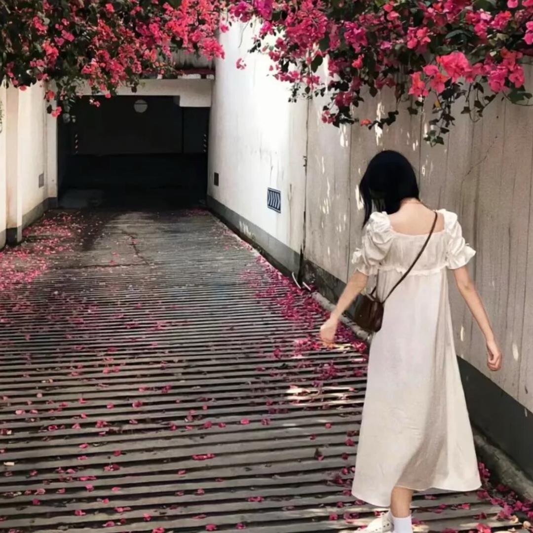 南风知我意
