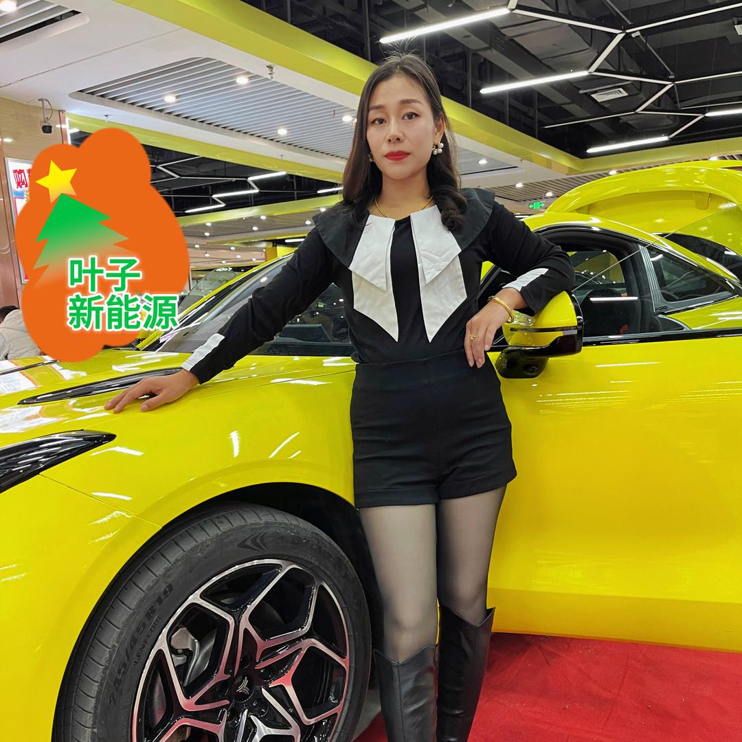新能源锦江山（叶子）