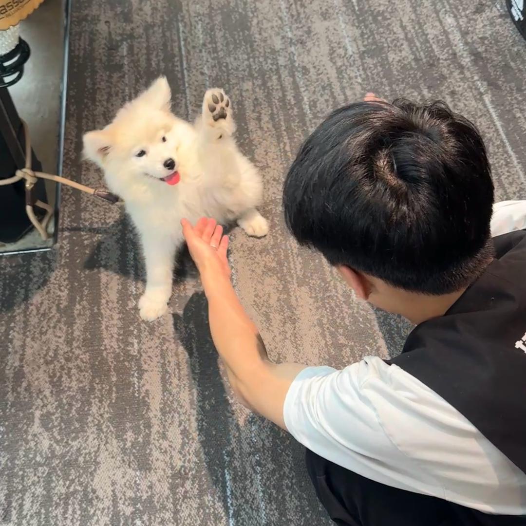 小欧